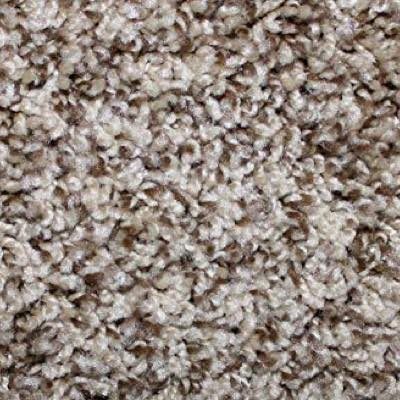 frezie Frezie | Carpet Advantage