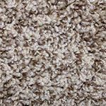 Frezie | Carpet Advantage
